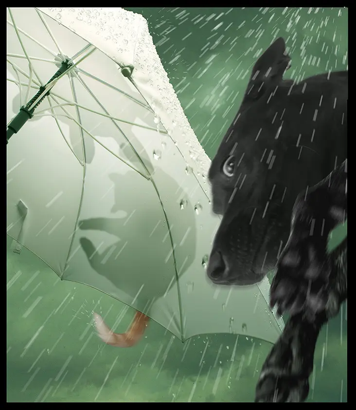 April - It's Raining Cats and Dogs